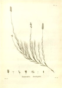 n227_w1150