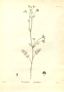 n212_w1150