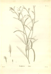 n182_w1150