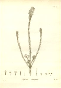 n167_w1150