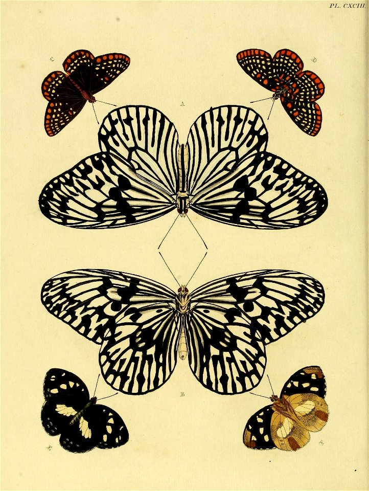 n9_w1150
