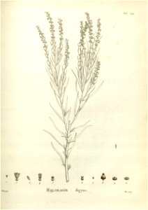n239_w1150