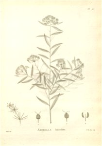 n209_w1150
