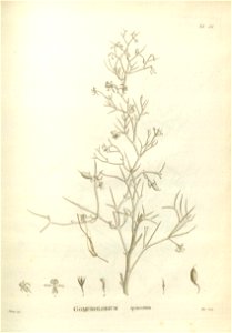 n246_w1150