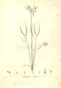 n215_w1150