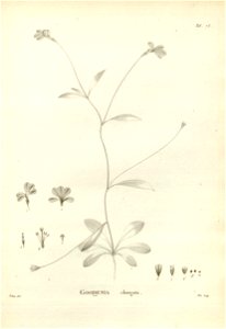 n185_w1150