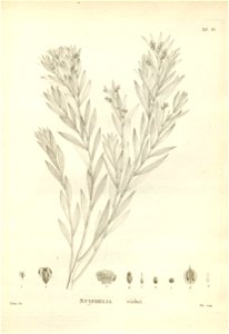 n170_w1150