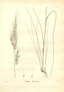 n140_w1150