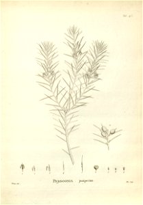 n155_w1150