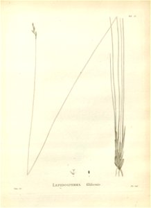 n125_w1150