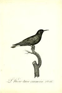 n268_w1150