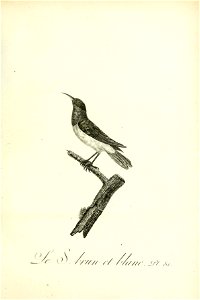 n320_w1150