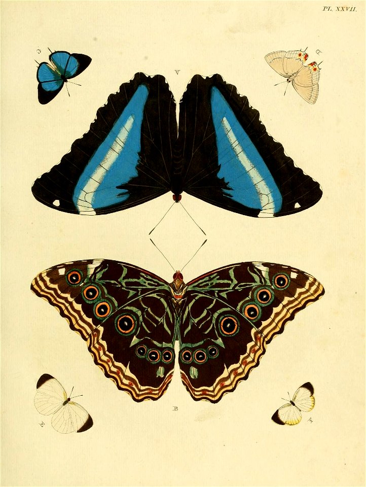n156_w1150