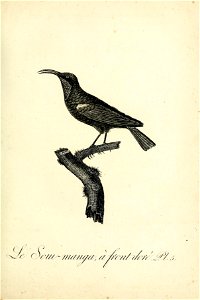 n46_w1150