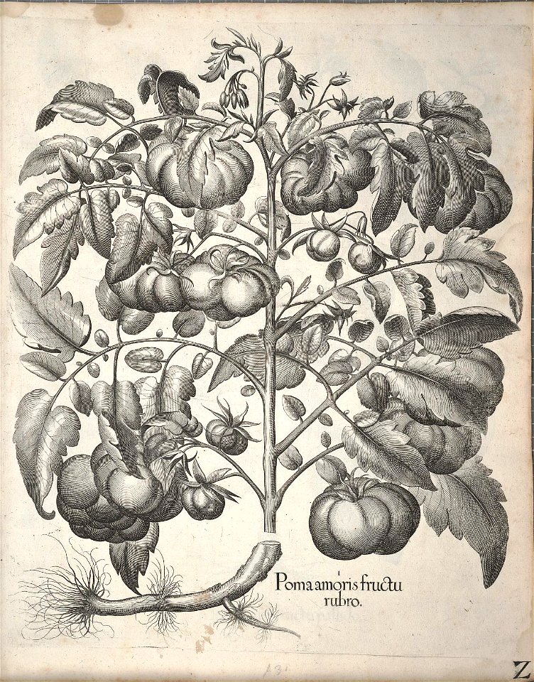 n341_w1150