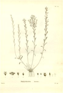 n164_w1150