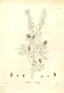 n149_w1150