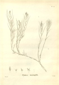 n134_w1150