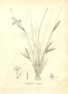 n119_w1150