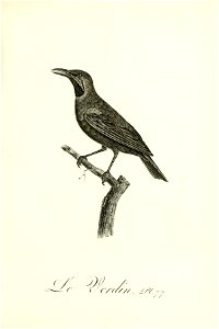n308_w1150