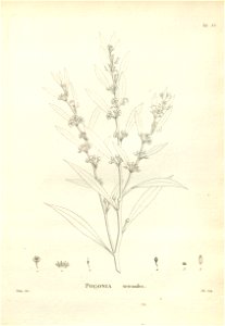 n193_w1150