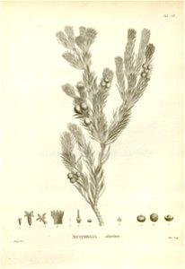 n178_w1150