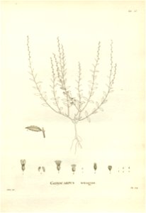 n163_w1150