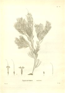 n148_w1150
