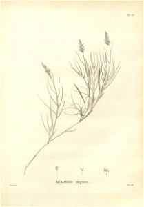 n133_w1150