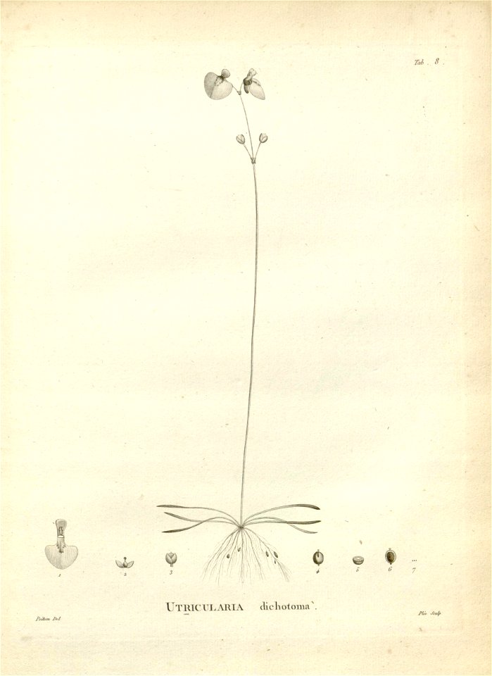 n118_w1150