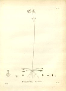 n118_w1150