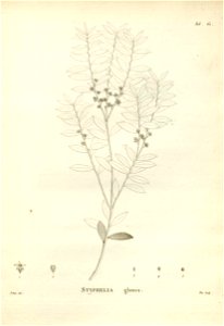 n171_w1150