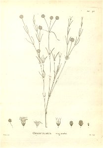 n156_w1150