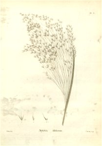 n141_w1150