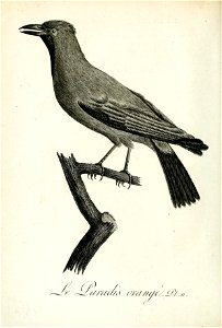 n401_w1150