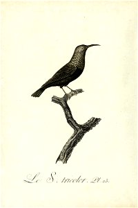 n109_w1150