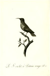 n57_w1150