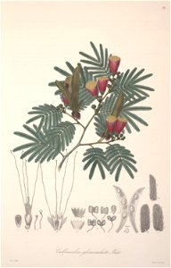 n12_w1150