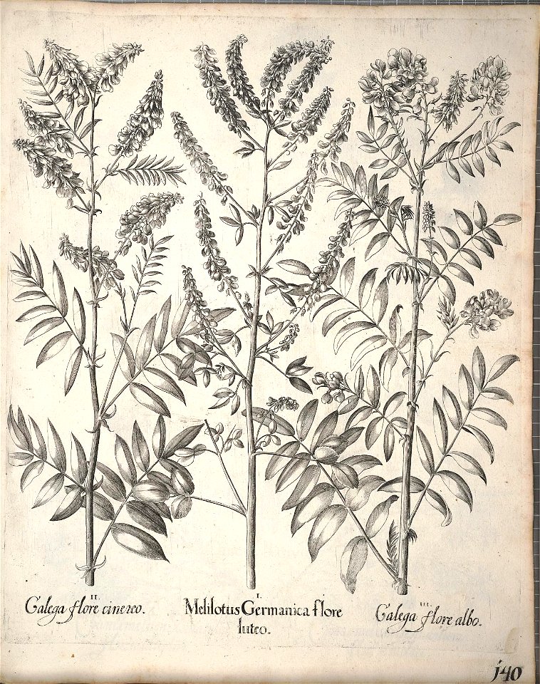 n291_w1150
