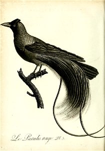 n371_w1150