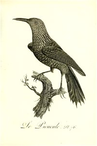 n304_w1150