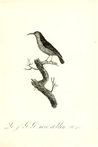 n196_w1150