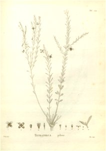 n232_w1150