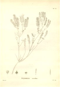 n172_w1150