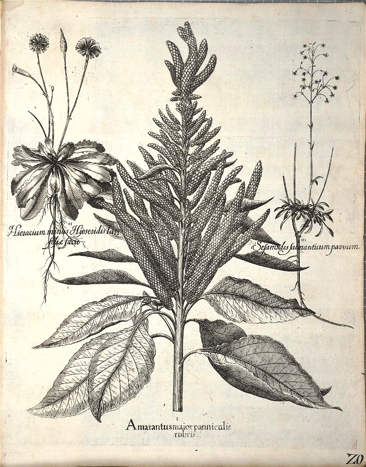 n359_w1150
