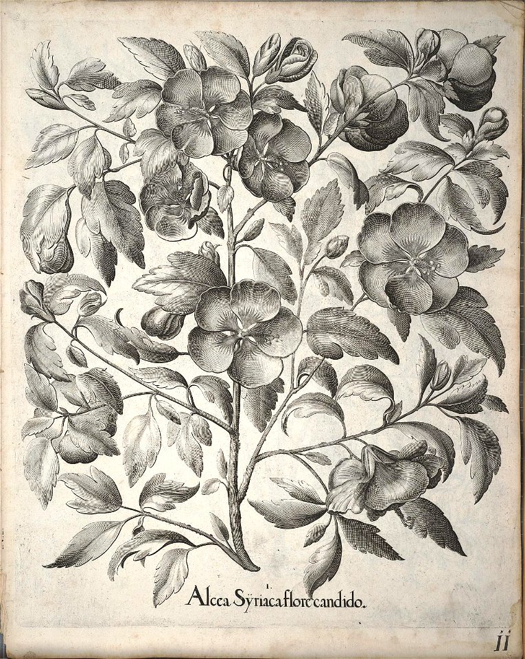 n162_w1150