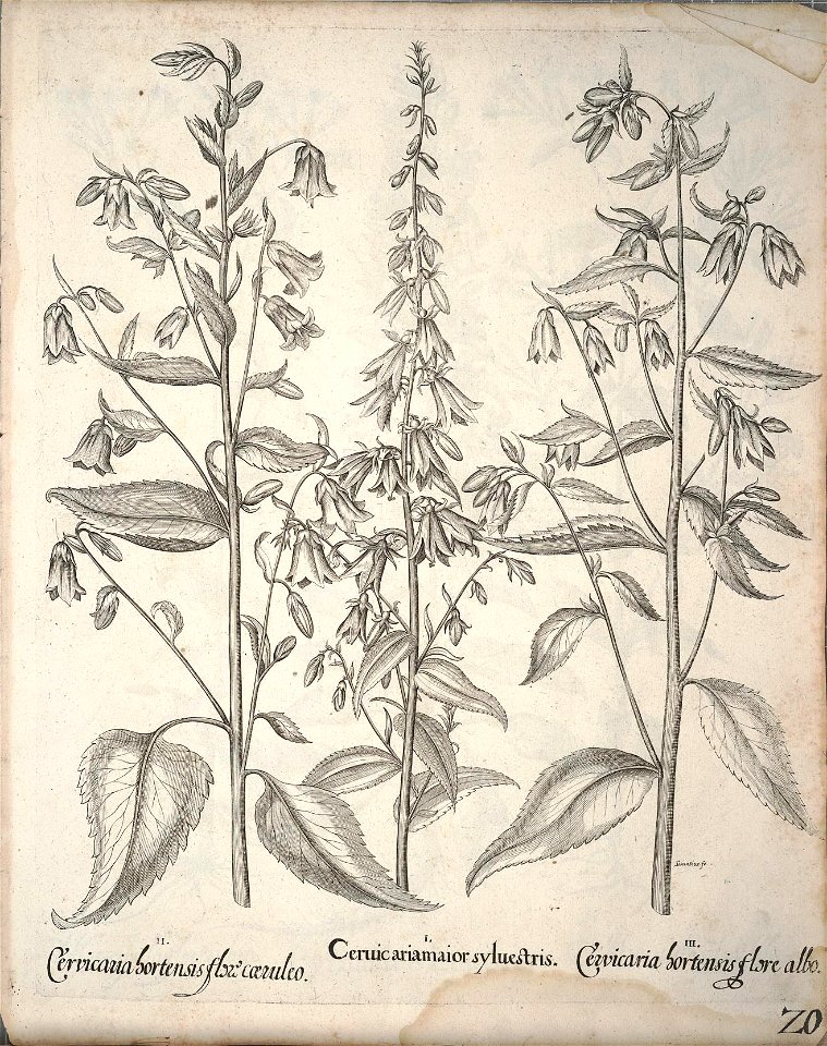n171_w1150