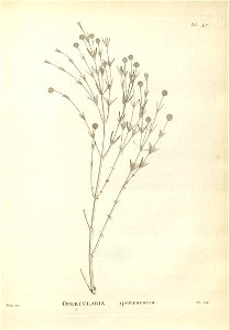 n157_w1150