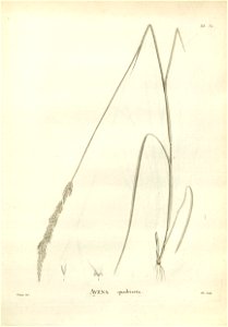 n142_w1150