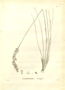 n127_w1150